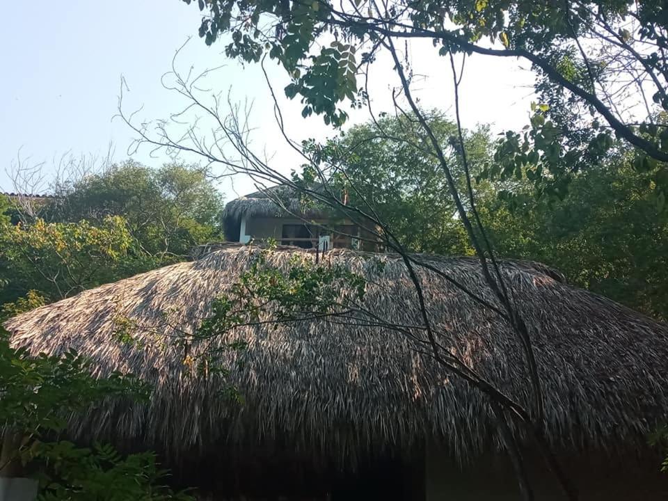 Aldea Xha Iba' Zipolite Hotel Eksteriør billede