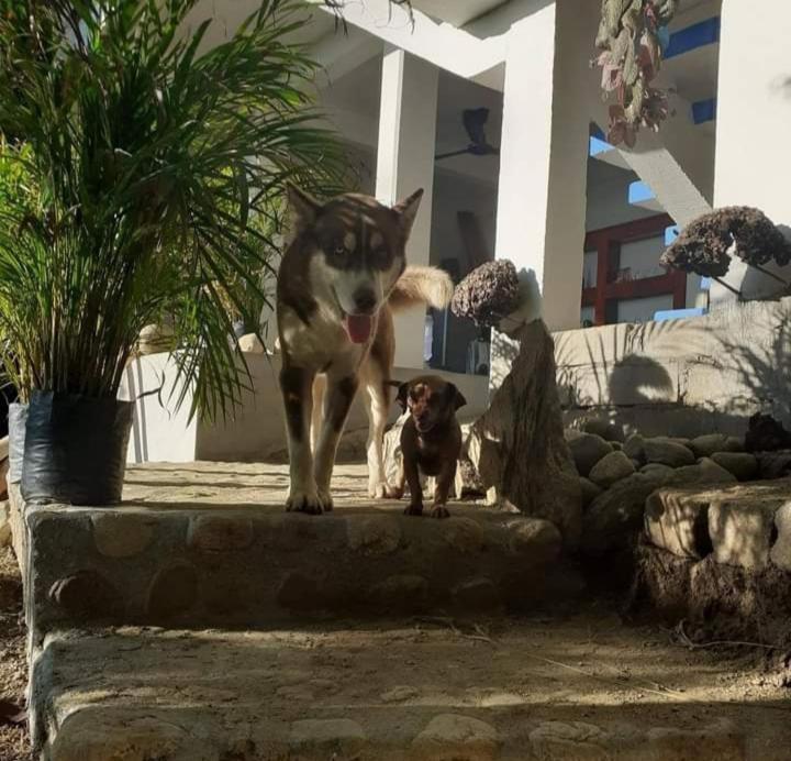 Aldea Xha Iba' Zipolite Hotel Eksteriør billede